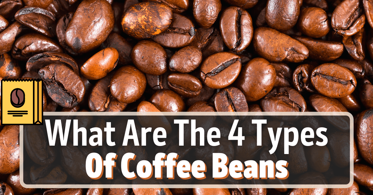 The 4 Different Types Of Coffee Beans Explained Types Of Coffee Beans ...