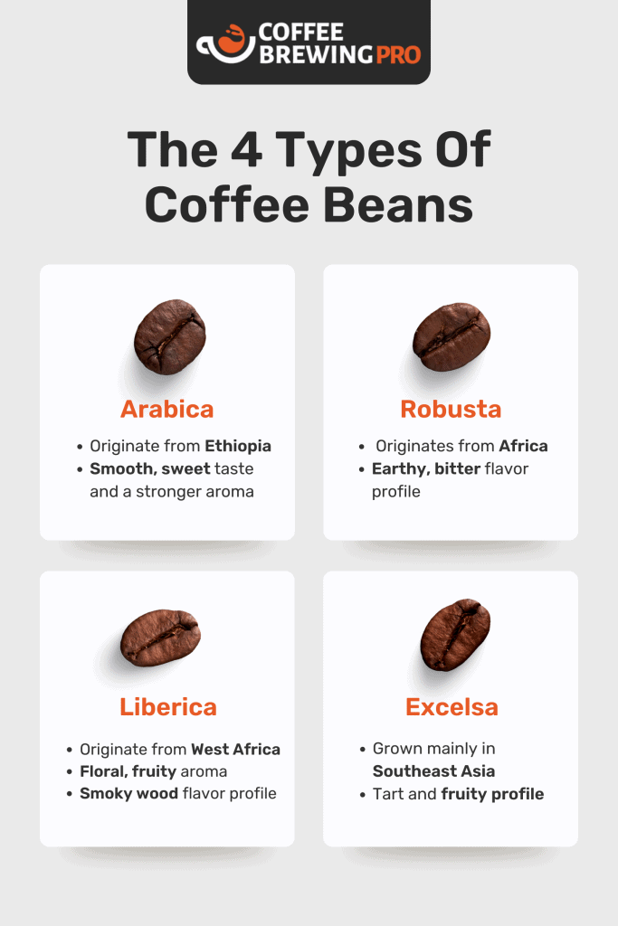 The 4 Different Types Of Coffee Beans - What Are The 4 Types Of Coffee Beans