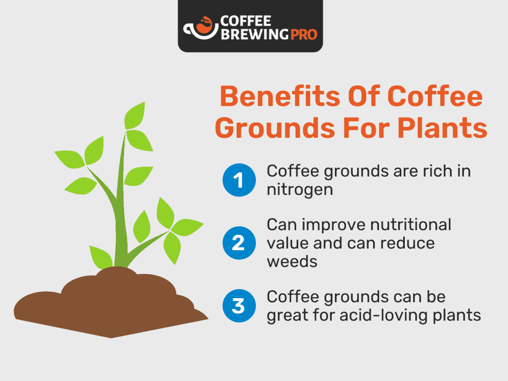 Uses For Coffee Grounds - Make Fertilizer
