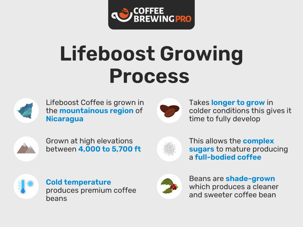 Lifeboost Coffee Reviews 2022 - Lifeboost Growing Process