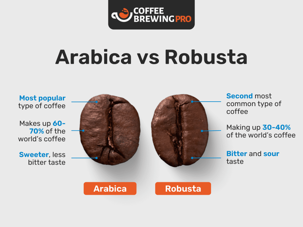 The 10 Best Espresso Beans - Arabica vs Robusta