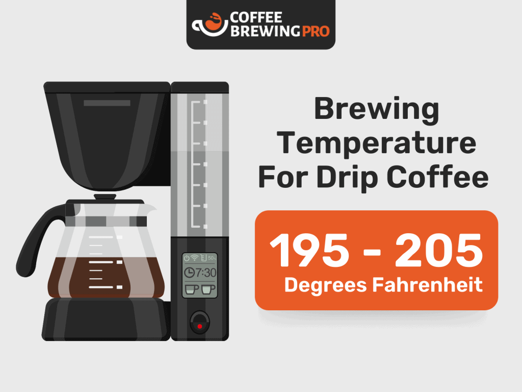 The Best 4 Cup Coffee Makers - Ideal Brewing Temperature