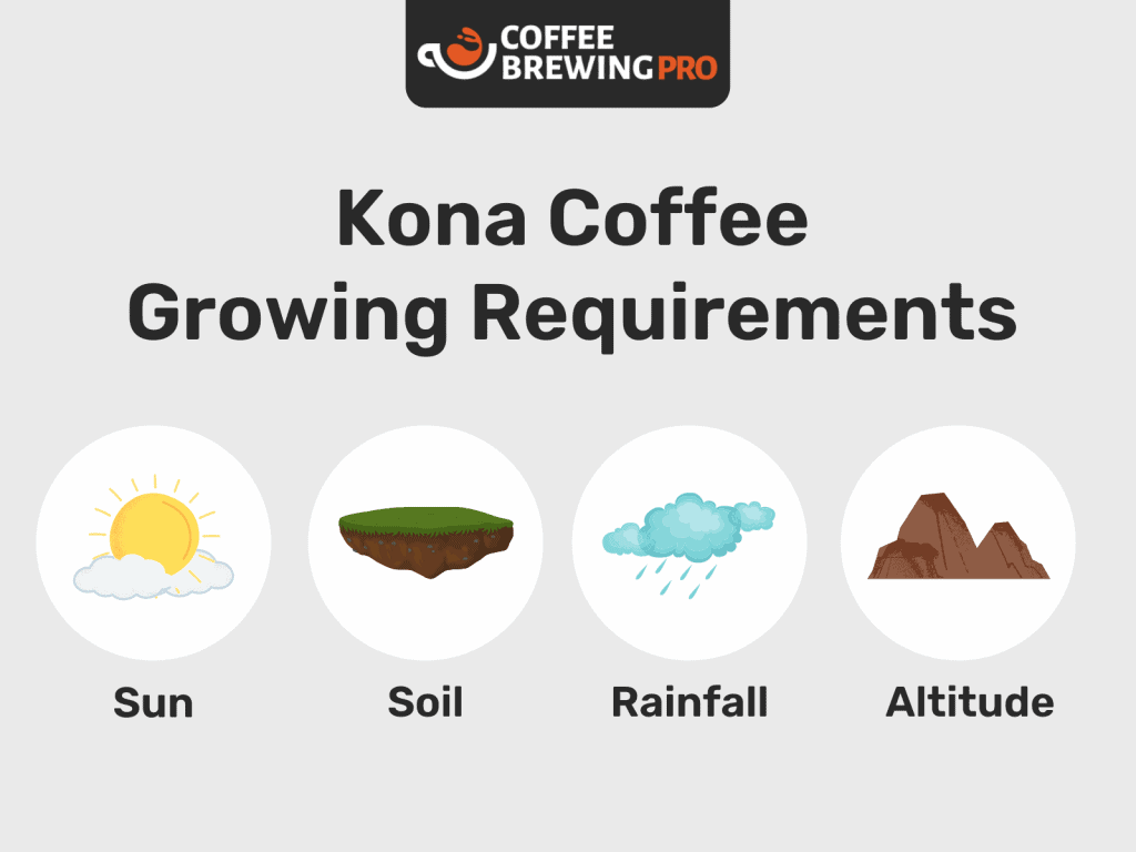 Kona Coffee Growing Requirements