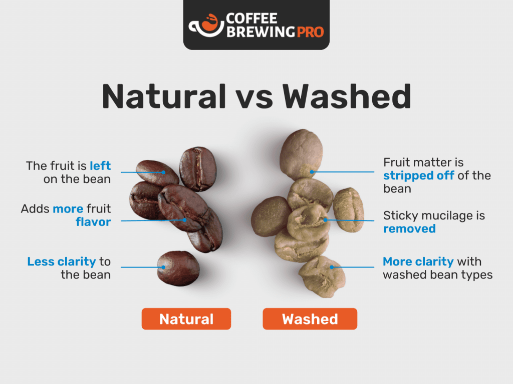 Best Black Coffee - Natural vs Washed